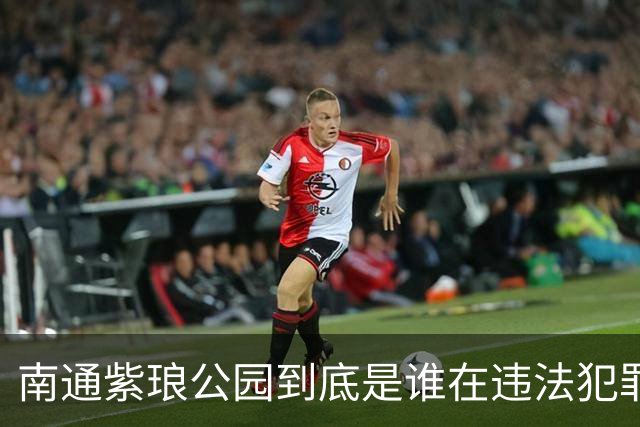 南通紫琅公园到底是谁在违法犯罪？